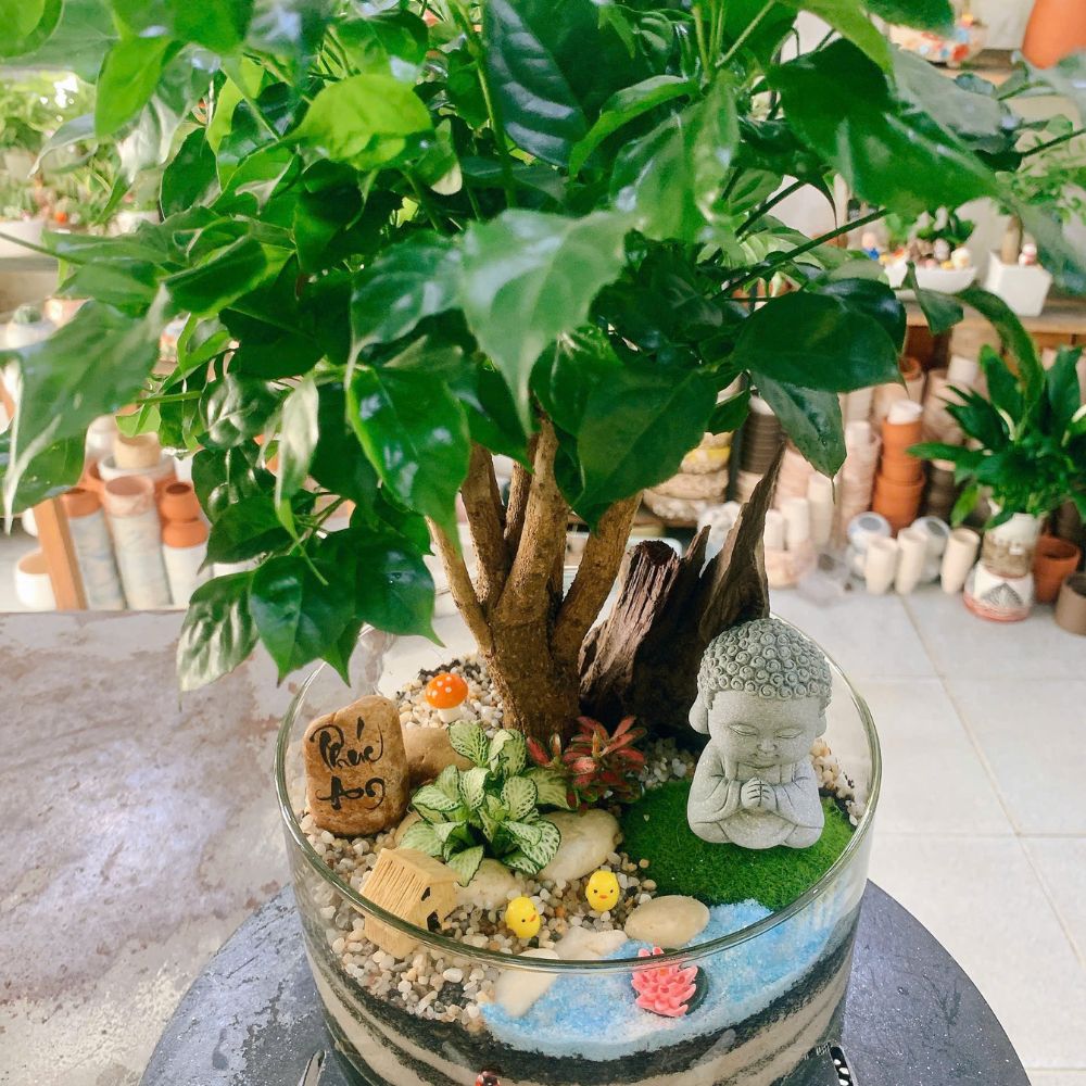 Vì Sao Nên Chọn Cây Xanh Làm Quà Tặng Cho Các Dịp Lễ Trong Năm