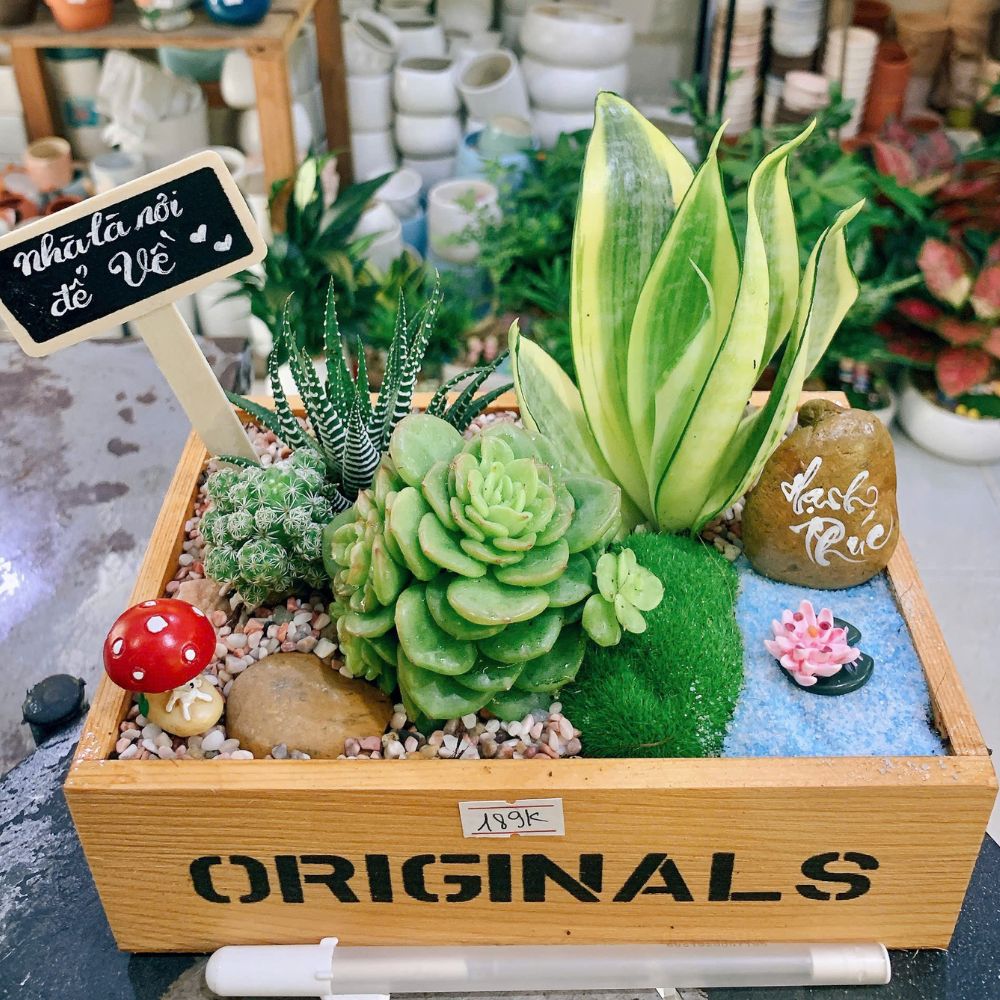 quà tặng 20/10