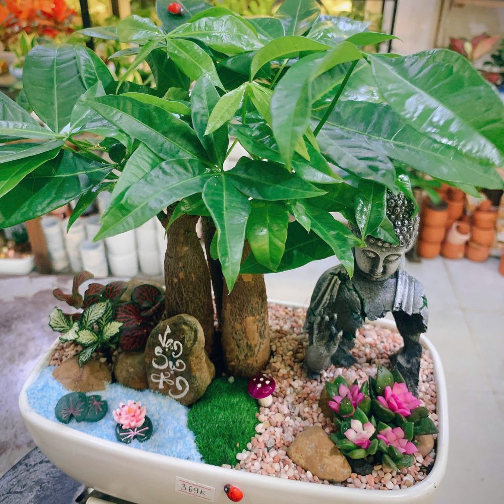 quà tặng 20/10