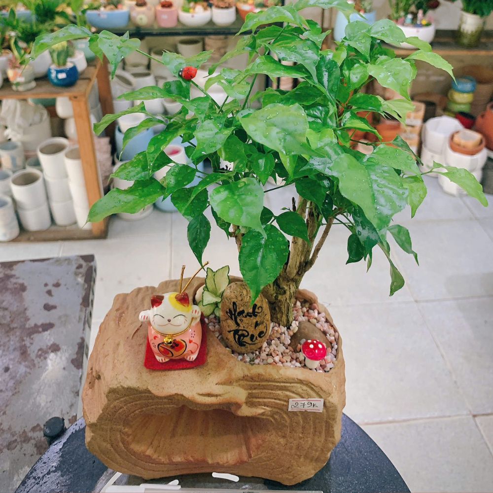 quà tặng 20/10