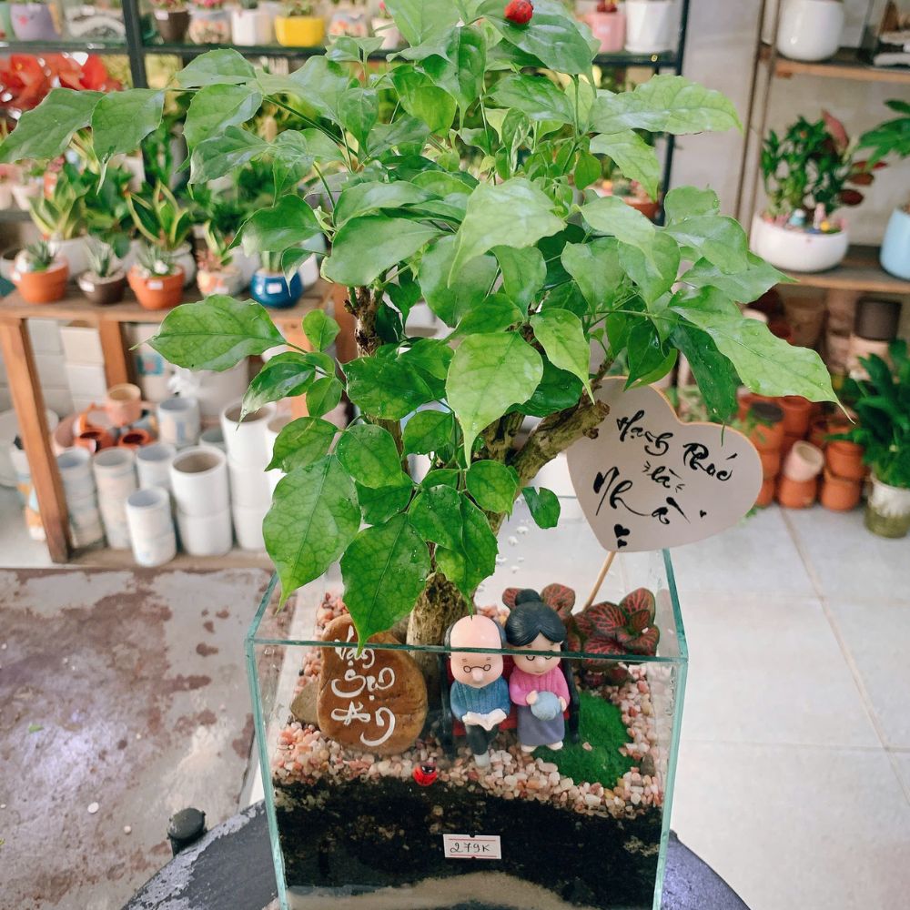 quà tặng 20/10