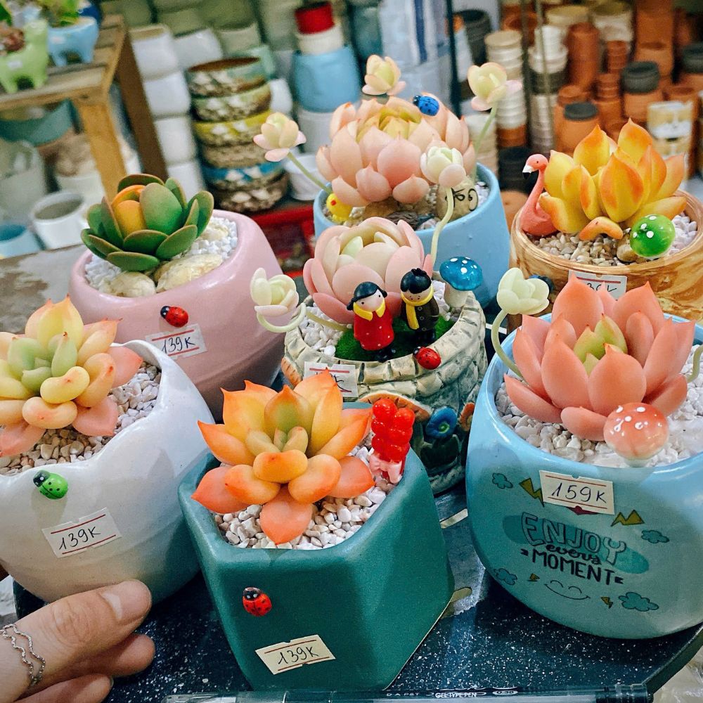 Sen Da Dat Set Sen Đá Đất Sét – Mãi Xanh Tươi, Không Lo Chăm Sóc! - Phố Cây Xanh - Cây ...