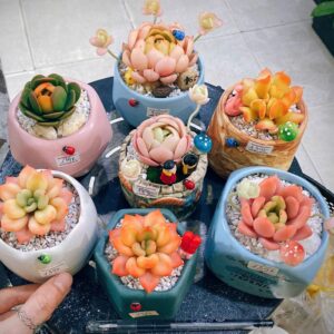 Tặng cây xanh 20/11 thay lời tri ân sâu sắc đến thầy cô. Món quà nhỏ xinh, ý nghĩa.