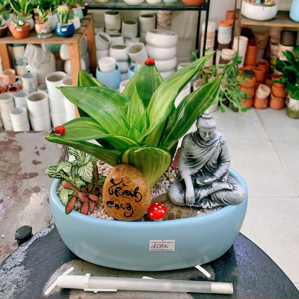 Top 5 Cây Xanh Lý Tưởng Cho Phòng Ngủ Tại TPHCM