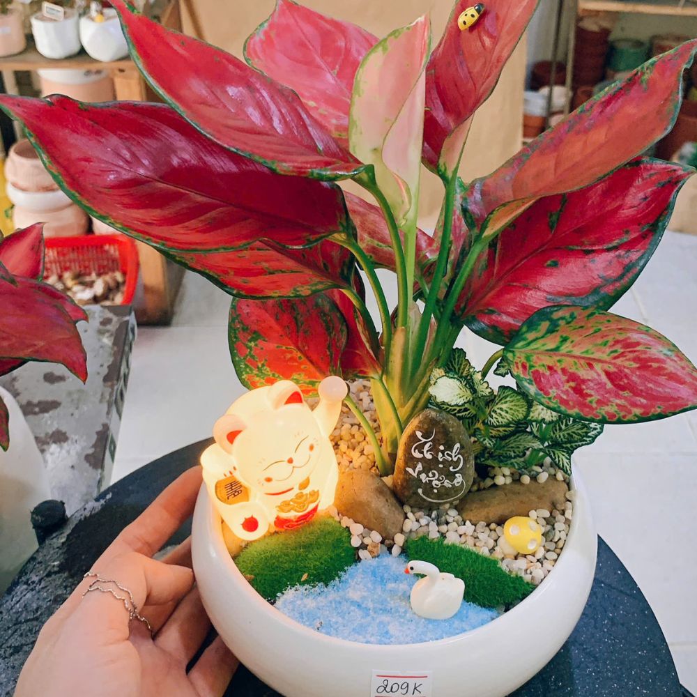 Phố Cây Xanh – Nơi chọn cây bền cho không gian bền