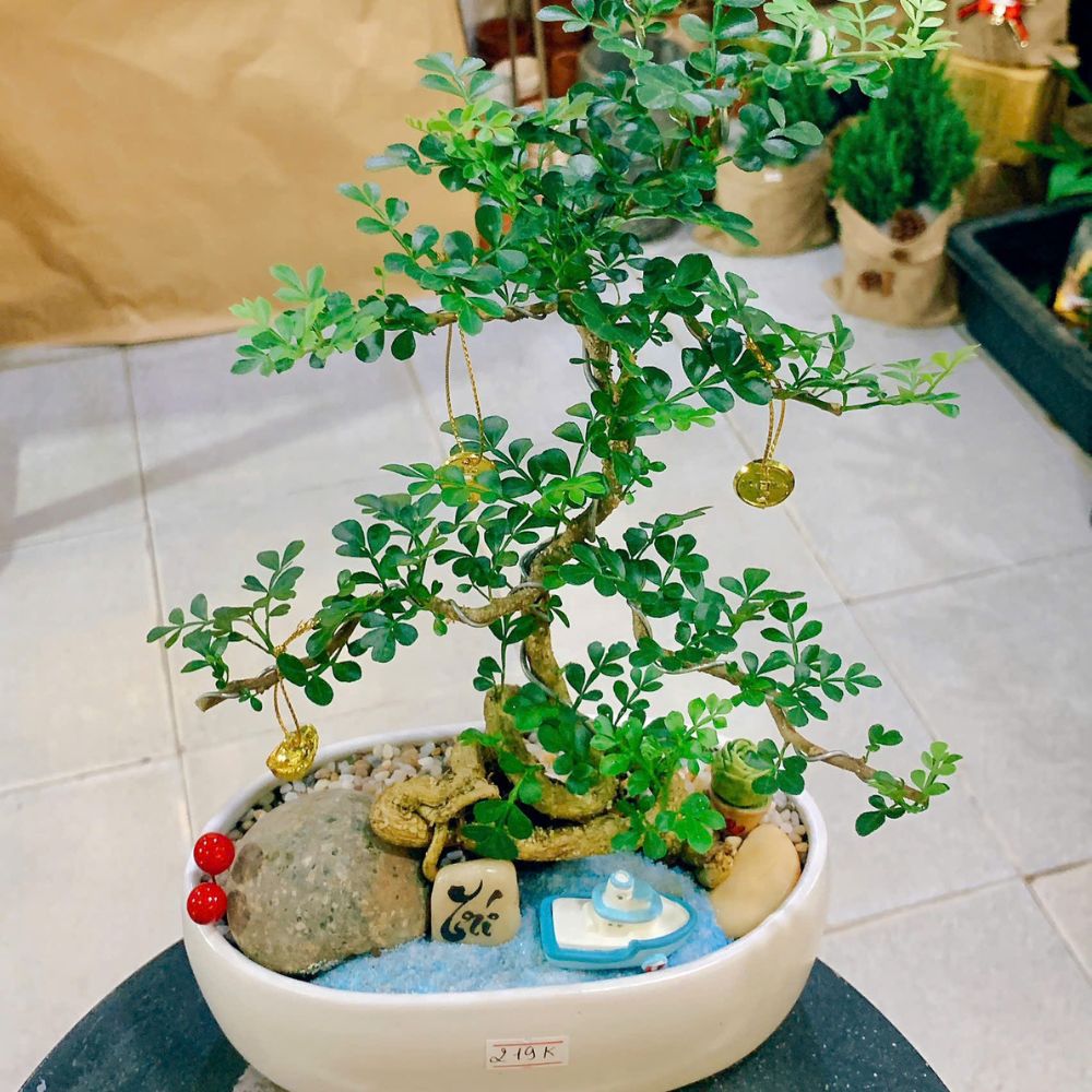 Phố Cây Xanh – Nơi chọn cây bền cho không gian bền