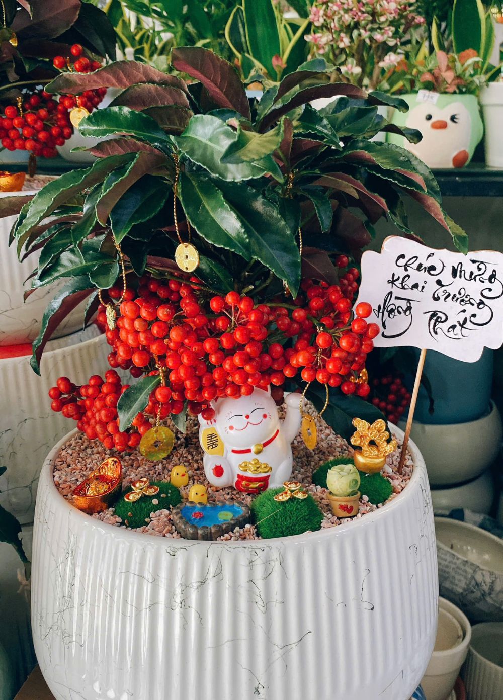 Cây Kim Ngân Lượng Cây Kim Ngân Lượng