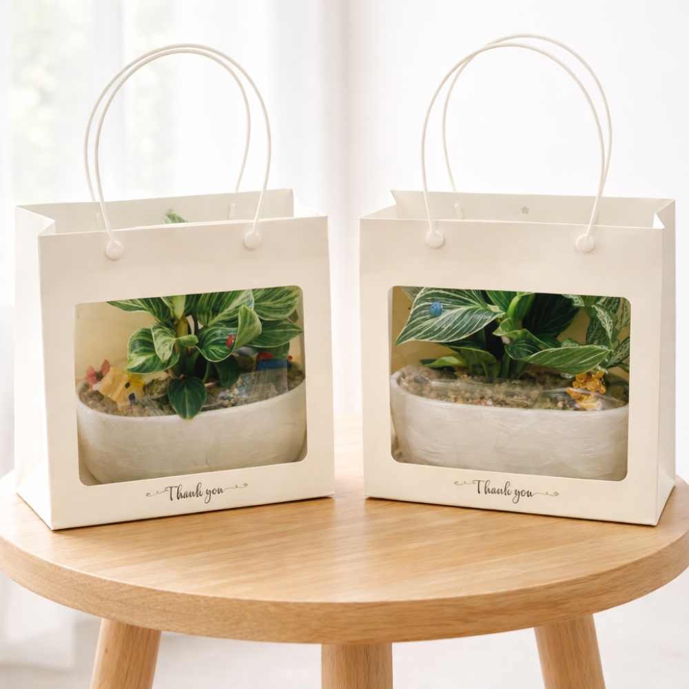 Cây Xanh Để Bàn – Món Quà Xanh Siêu Yêu Dành Riêng Cho Văn Phòng & Doanh Nghiệp 🌿✨