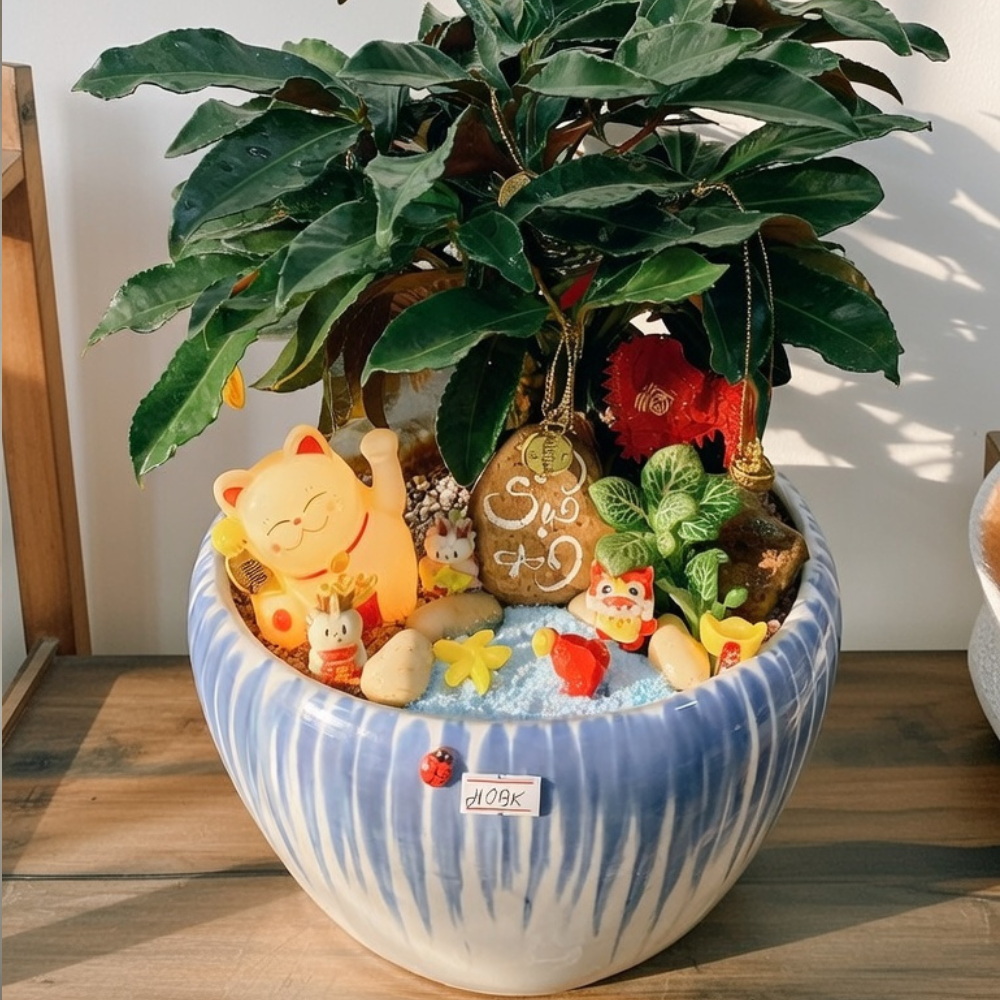 Cây Xanh Để Bàn – Món Quà Xanh Siêu Yêu Dành Riêng Cho Văn Phòng & Doanh Nghiệp 🌿✨